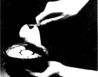 IMPA手冊 編號550636撲蟑藥(圖1)