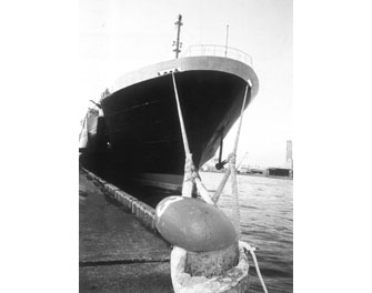IMPA手冊 編號211553陸海兩用8股纜繩(圖1) IMPA手冊 編號211553陸海兩用8股纜繩(圖1)