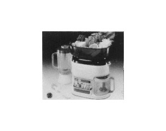 IMPA手冊(cè) 編號(hào)174571電動(dòng)果菜機(jī)(圖1)