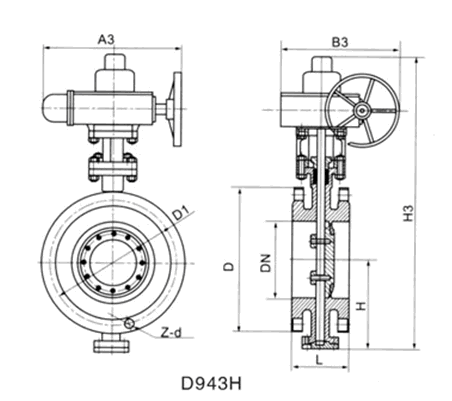 D943H電動(dòng)金屬硬密封法蘭蝶閥(圖1)